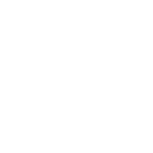 Tankless water heater